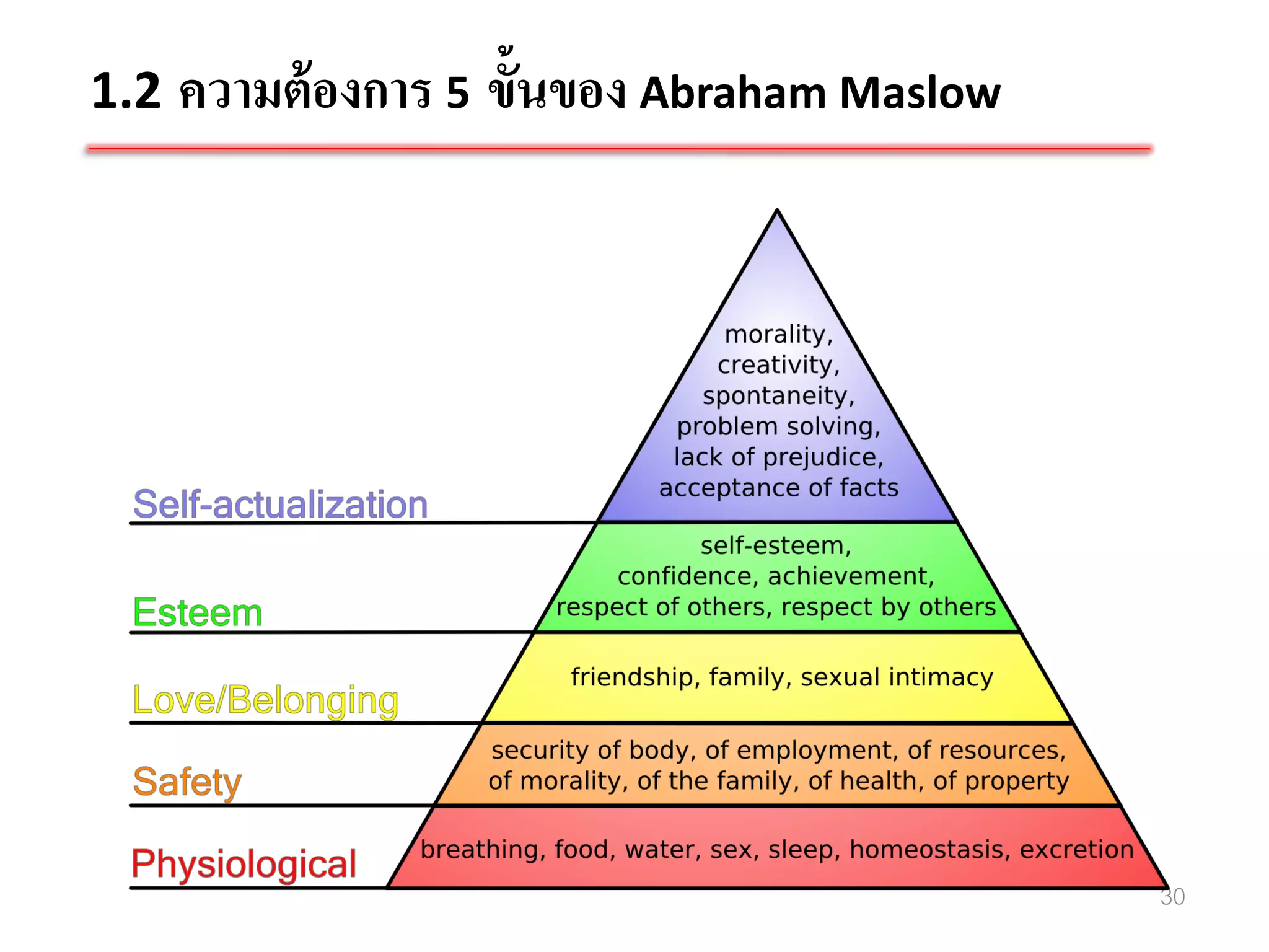 1.2 ความต้ องการ 5 ขั้นของ Abraham Maslow




                                            30
 
