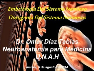 05/08/2014 Dr. Omar Diaz 1
EmbriologiaDelSistemaNervioso
OntogeniaDelSistemaNerviosos
Dr. Omar Díaz Tablas
Neuroanatomía para Medicina
U.N.A.H
martes, 5 de agosto de 2014
 