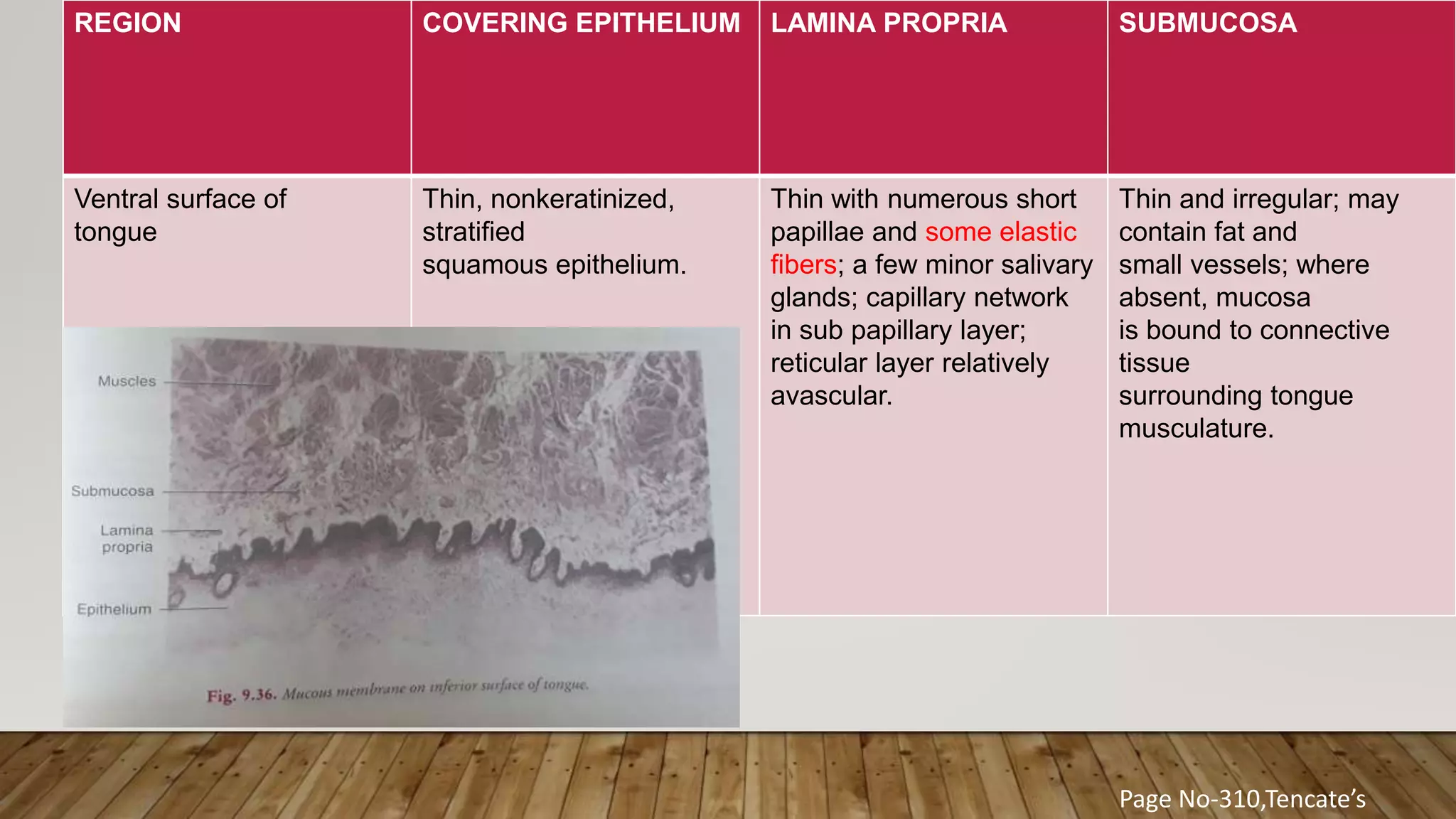 oral mucous membrane -DR Pooja | PPTX