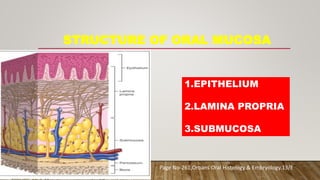 oral mucous membrane -DR Pooja | PPTX