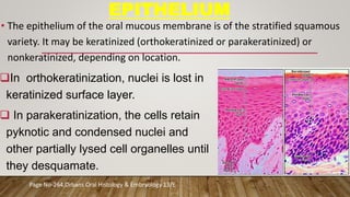 oral mucous membrane -DR Pooja | PPTX