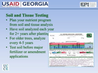 Soil and Tissue Testing
• Plan your nutrient program
from soil and tissue analysis
• Have soil analyzed each year
for 2+ years after planting
• For older trees, analyze
every 4-5 years
• Test soil before major
fertilizer or amendment
applications
 