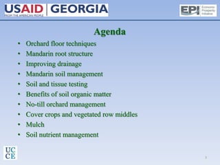 Agenda
• Orchard floor techniques
• Mandarin root structure
• Improving drainage
• Mandarin soil management
• Soil and tissue testing
• Benefits of soil organic matter
• No-till orchard management
• Cover crops and vegetated row middles
• Mulch
• Soil nutrient management
3
 