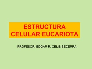 ESTRUCTURA CELULAR EUCARIOTA PROFESOR: EDGAR R. CELIS BECERRA 