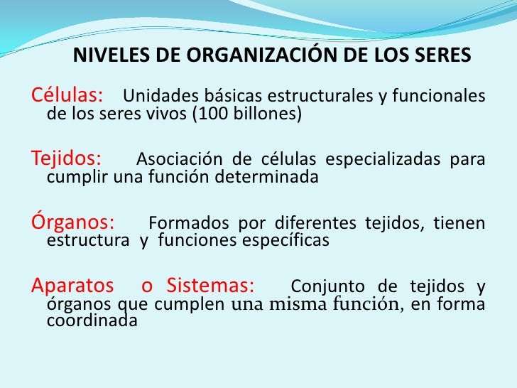 Resultado de imagen para estructura de los seres vivos para niños