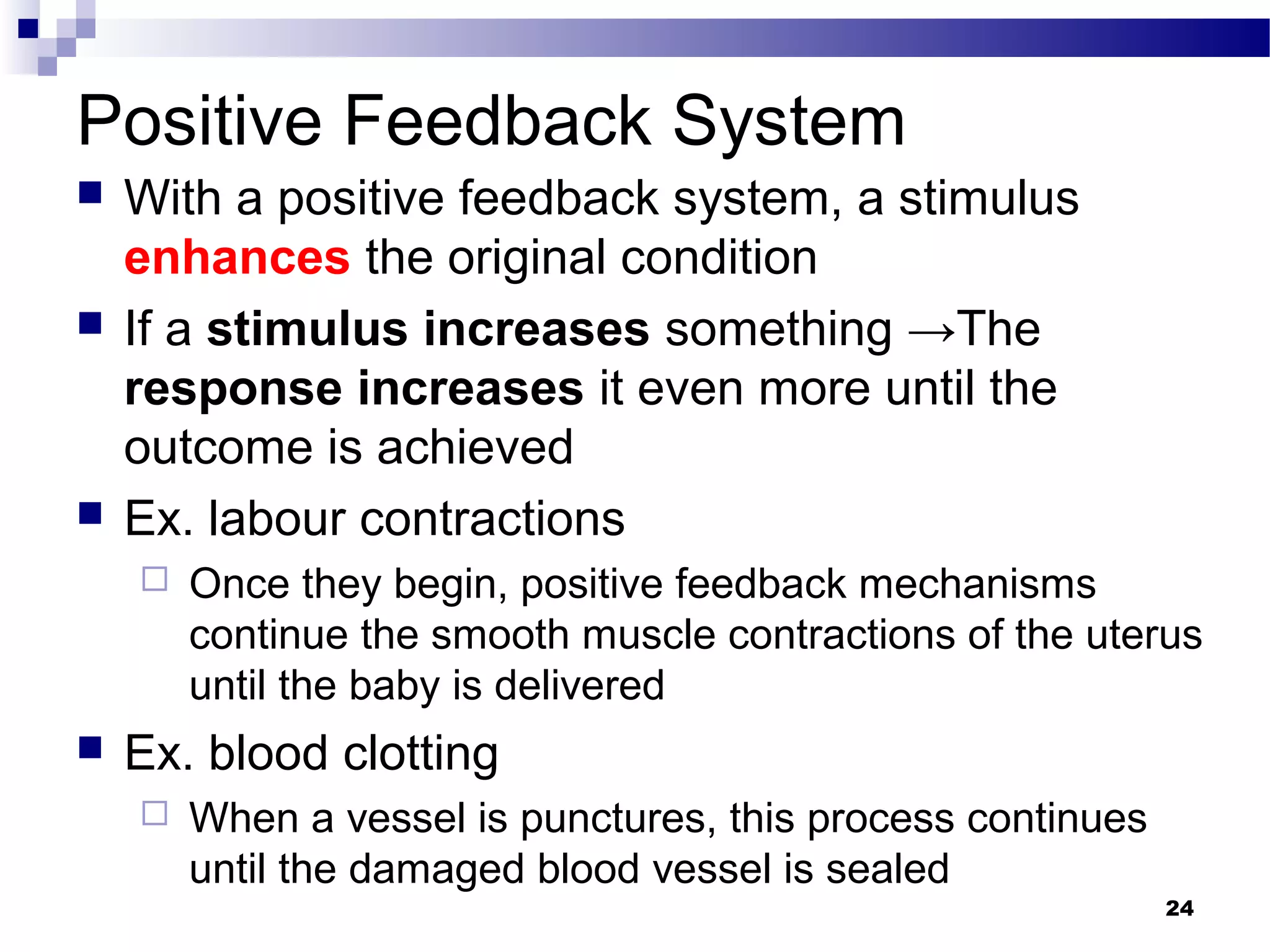 2 organization of the human body | PPT