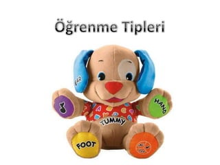 Organize etme, öğrenme ve Strateji