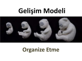 Gelişim Modeli




 Organize Etme
 