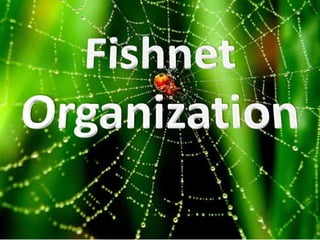 Organize etme, öğrenme ve Strateji