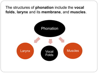 Phonation
Larynx Vocal
Folds
Muscles
The structures of phonation include the vocal
folds, larynx and its membrane, and muscles.
 