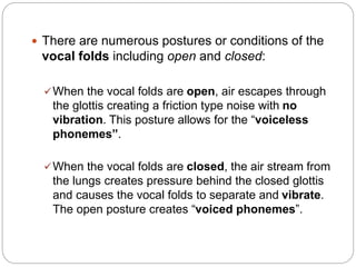  There are numerous postures or conditions of the
vocal folds including open and closed:
When the vocal folds are open, air escapes through
the glottis creating a friction type noise with no
vibration. This posture allows for the “voiceless
phonemes”.
When the vocal folds are closed, the air stream from
the lungs creates pressure behind the closed glottis
and causes the vocal folds to separate and vibrate.
The open posture creates “voiced phonemes”.
 