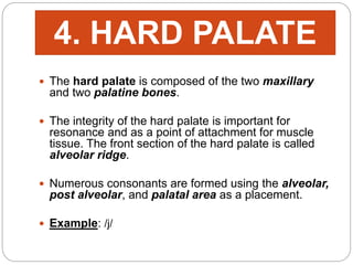  The hard palate is composed of the two maxillary
and two palatine bones.
 The integrity of the hard palate is important for
resonance and as a point of attachment for muscle
tissue. The front section of the hard palate is called
alveolar ridge.
 Numerous consonants are formed using the alveolar,
post alveolar, and palatal area as a placement.
 Example: /j/
4. HARD PALATE
 