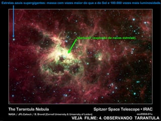Estrelas azuis supergigantes: massa cem vezes maior do que a do Sol e 100.000 vezes mais luminosidade.




                                               'starburst' (explosão de novas estrelas).




                                            VEJA FILME: 4. OBSERVANDO TARANTULA
 