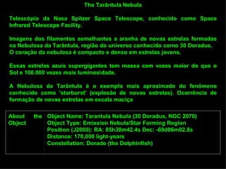The Tarântula Nebula

Telescópio da Nasa Spitzer Space Telescope, conhecido como Space
Infrared Telescope Facility.

Imagens dos filamentos semelhantes a aranha de novas estrelas formadas
na Nebulosa da Tarântula, região do universo conhecido como 30 Doradus.
O coração da nebulosa é compacto e denso em estrelas jovens.

Essas estrelas azuis supergigantes tem massa cem vezes maior do que o
Sol e 100.000 vezes mais luminosidade.

A Nebulosa da Tarântula é o exemplo mais aproximado do fenômeno
conhecido como 'starburst' (explosão de novas estrelas). Ocorrência de
formação de novas estrelas em escala maciça

About    the Object Name: Tarantula Nebula (30 Doradus, NGC 2070)
Object       Object Type: Emission Nebula/Star Forming Region
             Position (J2000): RA: 05h38m42.4s Dec: -69d06m02.8s
             Distance: 170,000 light-years
             Constellation: Dorado (the Dolphinfish)
 
