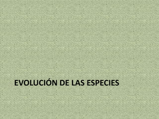 EVOLUCIÓN DE LAS ESPECIES
 