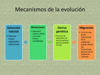 Mecanismos de la evolución

Selección      Mutaciones          Deriva            Migración
 natural       • Aparecen         genética           • Si se va una
                 nuevos alelos                         parte
• Sólo los       y se crea       • Proceso de
                                   alteración de       importante
  mejor          nueva                                 de la
                 variabilidad      las frecuencias
  adaptados                        génicas debido      población
  sobreviven                       al azar.            puede alterar
                                                       las
                                                       frecuencias
                                                       génicas de la
                                                       población
                                                       restante
 