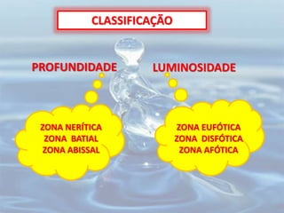 CLASSIFICAÇÃO
PROFUNDIDADE LUMINOSIDADE
ZONA EUFÓTICA
ZONA DISFÓTICA
ZONA AFÓTICA
ZONA NERÍTICA
ZONA BATIAL
ZONA ABISSAL
 