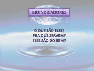 O QUE SÃO ELES?
PRA QUE SERVEM?
ELES SÃO DO BEM?
BIOINDICADORES
 