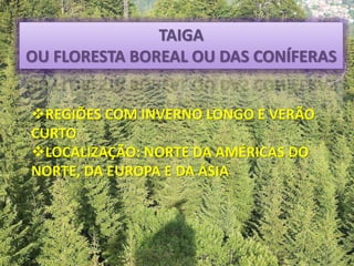 TAIGA
OU FLORESTA BOREAL OU DAS CONÍFERAS
REGIÕES COM INVERNO LONGO E VERÃO
CURTO
LOCALIZAÇÃO: NORTE DA AMÉRICAS DO
NORTE, DA EUROPA E DA ÁSIA
 