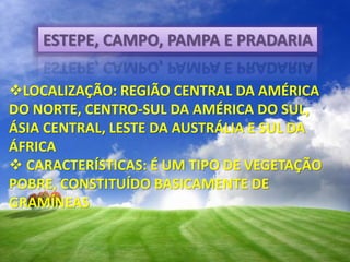 ESTEPE, CAMPO, PAMPA E PRADARIA
LOCALIZAÇÃO: REGIÃO CENTRAL DA AMÉRICA
DO NORTE, CENTRO-SUL DA AMÉRICA DO SUL,
ÁSIA CENTRAL, LESTE DA AUSTRÁLIA E SUL DA
ÁFRICA
 CARACTERÍSTICAS: É UM TIPO DE VEGETAÇÃO
POBRE, CONSTITUÍDO BASICAMENTE DE
GRAMÍNEAS
 