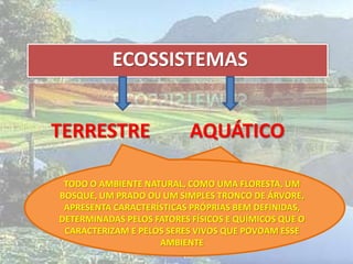 ECOSSISTEMAS
TERRESTRE AQUÁTICO
SÃO TODOS AQUELES QUE APRESENTAM POR
BIÓTOPO ALGUM CORPO DE ÁGUA COMO, POR
EXEMPLO, MARES, RIOS, OCEANOS, LAGOS,
PÂNTANOS, ETC.
TODO O AMBIENTE NATURAL, COMO UMA FLORESTA, UM
BOSQUE, UM PRADO OU UM SIMPLES TRONCO DE ÁRVORE,
APRESENTA CARACTERÍSTICAS PRÓPRIAS BEM DEFINIDAS,
DETERMINADAS PELOS FATORES FÍSICOS E QUÍMICOS QUE O
CARACTERIZAM E PELOS SERES VIVOS QUE POVOAM ESSE
AMBIENTE
 