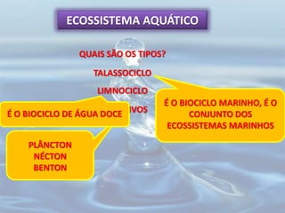 QUAIS SÃO OS TIPOS?
ECOSSISTEMA AQUÁTICO
TALASSOCICLO
É O BIOCICLO MARINHO, É O
CONJUNTO DOS
ECOSSISTEMAS MARINHOS
SERES VIVOS
PLÂNCTON
NÉCTON
BENTON
LIMNOCICLO
É O BIOCICLO DE ÁGUA DOCE
 