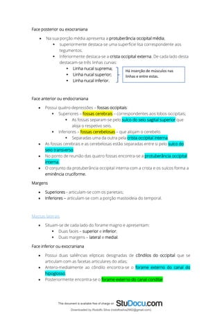 Face posterior ou exocraniana
• Na sua porção média apresenta a protuberância occipital média;
▪ superiormente destaca-se uma superfície lisa correspondente aos
tegumentos.
▪ Inferiormente destaca-se a crista occipital externa. De cada lado desta
destacam-se três linhas curvas:
▪ Linha nucal suprema;
▪ Linha nucal superior;
▪ Linha nucal inferior.
Face anterior ou endocraniana
• Possui quatro depressões – fossas occipitais:
▪ Superiores – fossas cerebrais – correspondentes aos lobos occipitais;
▪ As fossas separam-se pelo sulco do seio sagital superior que
aloja o respetivo seio,
▪ Inferiores – fossas cerebelosas – que alojam o cerebelo.
▪ Separadas uma da outra pela crista occipital interna.
• As fossas cerebrais e as cerebelosas estão separadas entre si pelo sulco do
seio transverso.
• No ponto de reunião das quatro fossas encontra-se a protuberância occipital
interna.
• O conjunto da protuberância occipital interna com a crista e os sulcos forma a
eminência cruciforme.
Margens
• Superiores - articulam-se com os parietais;
• Inferiores – articulam-se com a porção mastoideia do temporal.
Massas laterais
• Situam-se de cada lado do forame magno e apresentam:
▪ Duas faces – superior e inferior;
▪ Duas margens – lateral e medial.
Face inferior ou exocraniana
• Possui duas saliências elípticas designadas de côndilos do occipital que se
articulam com as facetas articulares do atlas;
• Antero-medialmente ao côndilo encontra-se o forame externo do canal do
hipoglosso;
• Posteriormente encontra-se o forame externo do canal condilar
Há inserção de músculos nas
linhas e entre estas.
Downloaded by Rodolfo Silva (rodolfosilva2982@gmail.com)
lOMoARcPSD|13795583
 