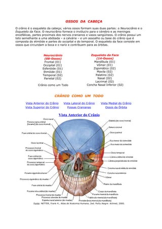 OSSOS DA CABEÇA
O crânio é o esqueleto da cabeça; vários ossos formam suas duas partes: o Neurocrânio e o
Esqueleto da Face. O neurocrânio fornece o invólucro para o cérebro e as meninges
encefálicas, partes proximais dos nervos cranianos e vasos sangüíneos. O crânio possui um
teto semelhante a uma abóbada – a calvária – e um assoalho ou base do crânio que é
composta do etmóide e partes do occipital e do temporal. O esqueleto da face consiste em
ossos que circundam a boca e o nariz e contribuem para as órbitas.
Neurocrânio
(08-Ossos)
Frontal (01)
Occipital (01)
Esfenóide (01)
Etmóide (01)
Temporal (02)
Parietal (02)
Crânio como um Todo
Esqueleto da Face
(14-Ossos)
Mandíbula (01)
Vômer (01)
Zigomático (02)
Maxila (02)
Palatino (02)
Nasal (02)
Lacrimal (02)
Concha Nasal Inferior (02)
CRÂNIO COMO UM TODO
Vista Anterior do Crânio Vista Lateral do Crânio Vista Medial do Crânio
Vista Superior do Crânio Fossas Cranianas Ossos da Órbita
Vista Anterior do Crânio
Fonte: NETTER, Frank H.. Atlas de Anatomia Humana. 2ed. Porto Alegre: Artmed, 2000.
 