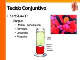 Os tecidos
TecidoConjuntivo
• SANGUÍNEO
– Sangue
• Plasma– parte líquida
• Hemácias
• Leucócitos
• Plaquetas
 