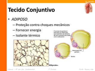 Os tecidos




Tecido Conjuntivo
• ADIPOSO
      – Proteção contra choques mecânicos
      – Fornecer energia
      – Isolante térmico




                                      Adipócitos.
Ciências – 8º ano Ens. Fundamental   1º Período     Profa. Rebeca Vale
 