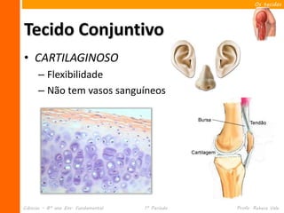 Os tecidos




Tecido Conjuntivo
• CARTILAGINOSO
      – Flexibilidade
      – Não tem vasos sanguíneos




Ciências – 8º ano Ens. Fundamental   1º Período   Profa. Rebeca Vale
 