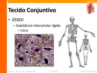 Os tecidos




Tecido Conjuntivo
• ÓSSEO
      – Substância intercelular rígida
            • Cálcio




Ciências – 8º ano Ens. Fundamental   1º Período   Profa. Rebeca Vale
 