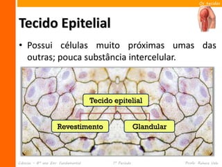 Os tecidos




Tecido Epitelial
• Possui células muito próximas umas das
  outras; pouca substância intercelular.



                                     Tecido epitelial


                     Revestimento                        Glandular



Ciências – 8º ano Ens. Fundamental          1º Período               Profa. Rebeca Vale
 