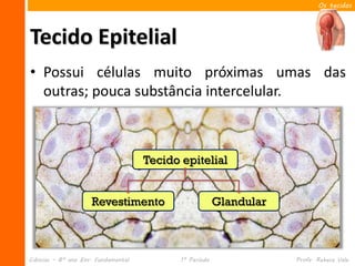 Os tecidos




Tecido Epitelial
• Possui células muito próximas umas das
  outras; pouca substância intercelular.



     ...