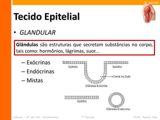 Os tecidos




Tecido Epitelial
• GLANDULAR
  Glândulas são estruturas que secretam substâncias no corpo,
  tais como: hormônios, lágrimas, suor...

      – Exócrinas
      – Endócrinas
      – Mistas




Ciências – 8º ano Ens. Fundamental   1º Período     Profa. Rebeca Vale
 