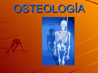 OSTEOLOGÍA 