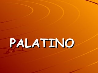 PALATINO 