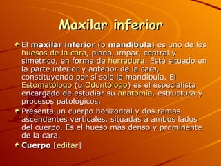 Maxilar inferior El  maxilar inferior  (o  mandíbula ) es uno de los  huesos de la cara , plano, impar, central y simétrico, en forma de  herradura . Está situado en la parte inferior y anterior de la cara, constituyendo por sí solo la mandíbula. El  Estomatólogo  (u  Odontólogo ) es el especialista encargado de estudiar su  anatomía , estructura y procesos patológicos. Presenta un cuerpo horizontal y dos ramas ascendentes verticales, situadas a ambos lados del cuerpo. Es el hueso más denso y prominente de la cara. Cuerpo  [ editar ] 