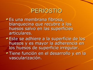 PERIOSTIO Es una membrana fibrosa, blanquecina que recubre a los huesos salvo en las superficies articulares.  Este se adhiere a la superficie de los huesos y es mayor la adherencia en los huesos de superficie irregular. Tiene función en el desarrollo y en la vascularización. 