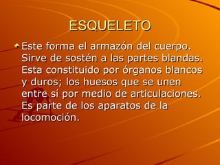 ESQUELETO Este forma el armazón del cuerpo. Sirve de sostén a las partes blandas. Esta constituido por órganos blancos y duros; los huesos que se unen entre sí por medio de articulaciones. Es parte de los aparatos de la locomoción. 