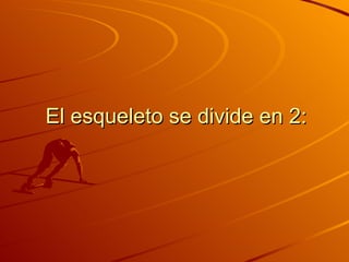 El esqueleto se divide en 2: 