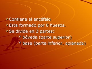 Contiene al encéfalo  Esta formado por 8 huesos. Se divide en 2 partes: * bóveda (parte superior) * base (parte inferior, aplanada) 