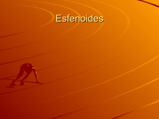 Esfenoides 