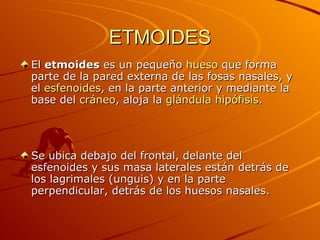 ETMOIDES El  etmoides  es un pequeño  hueso  que forma parte de la pared externa de las fosas nasales, y el  esfenoides , en la parte anterior y mediante la base del  cráneo , aloja la  glándula   hipófisis .  Se ubica debajo del frontal, delante del esfenoides y sus masa laterales están detrás de los lagrimales (unguis) y en la parte perpendicular, detrás de los huesos nasales. 