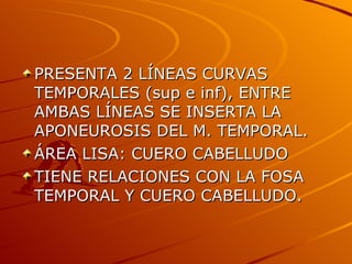 PRESENTA 2 LÍNEAS CURVAS TEMPORALES (sup e inf), ENTRE AMBAS LÍNEAS SE INSERTA LA APONEUROSIS DEL M. TEMPORAL. ÁREA LISA: CUERO CABELLUDO TIENE RELACIONES CON LA FOSA TEMPORAL Y CUERO CABELLUDO. 