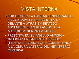 VISTA INTERNA POR DENTRO LA CAVIDAD ENDOCRANEAL ES CÓNCAVA SE DESARROLLA DE DELANTE A ATRÁS EN SENTIDO ASCENDENTE, EN RELACIÓN A LA ARTERIOLA MENINGEA MEDIA. PRESENTA EN SU ÁNGULO ANTERO-INFERIOR UN SALIENTE OBLICUO (CRESTA SILVIANA) QUE CORRESPONDE A LA CISURA LATERAL DEL HEMISFERIO CEREBRAL. 