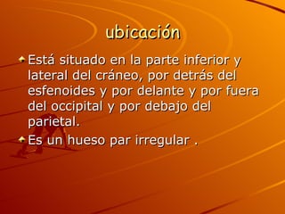 ubicación Está situado en la parte inferior y lateral del cráneo, por detrás del esfenoides y por delante y por fuera del occipital y por debajo del parietal. Es un hueso par irregular . 