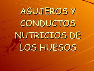 AGUJEROS Y CONDUCTOS NUTRICIOS DE LOS HUESOS 