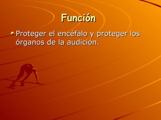 Función  Proteger el encéfalo y proteger los órganos de la audición. 
