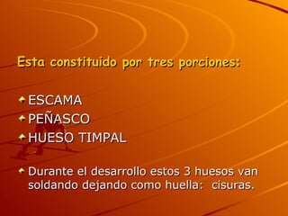 Esta constituido por tres porciones :   ESCAMA  PEÑASCO HUESO TIMPAL Durante el desarrollo estos 3 huesos van soldando dejando como huella:  cisuras. 